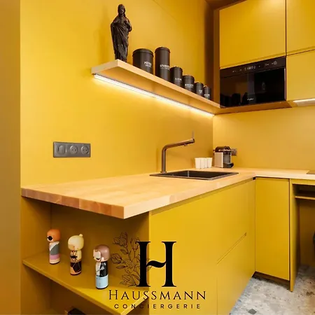 Magnifique Hypercentre Place Stanislas נאנסי