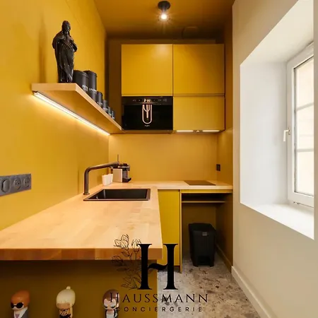 Magnifique Hypercentre Place Stanislas נאנסי